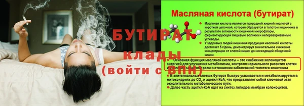 сатива Бородино