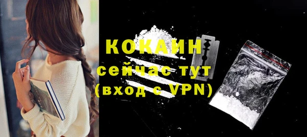 сатива Бородино