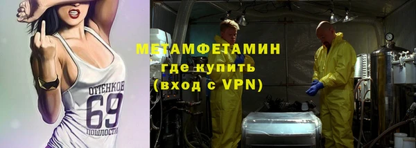 сатива Бородино