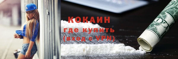 сатива Бородино