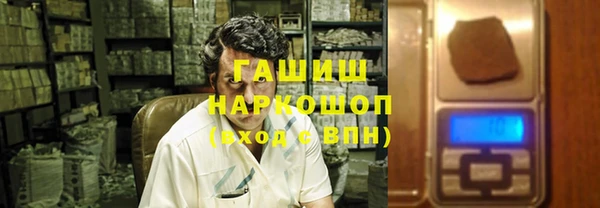 сатива Бородино