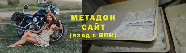 сатива Бородино