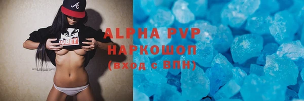 сатива Бородино