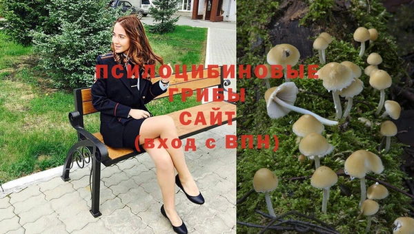 таблы Бронницы
