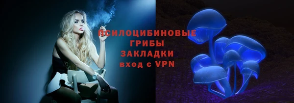 сатива Бородино