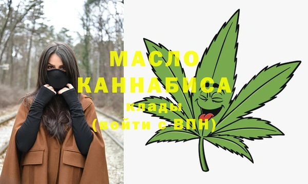 сатива Бородино
