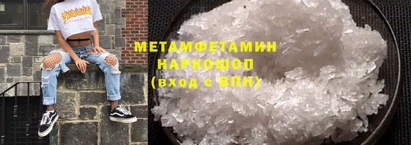 сатива Бородино