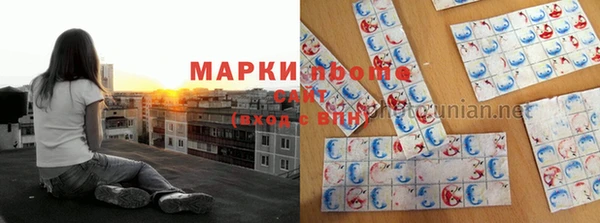 сатива Бородино