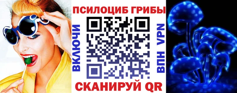 магазин продажи наркотиков Бузулук Галлюциногенные грибы Cubensis