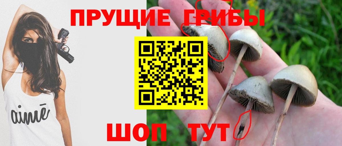 Галлюциногенные грибы GOLDEN TEACHER  Вход с VPN  Бузулук 