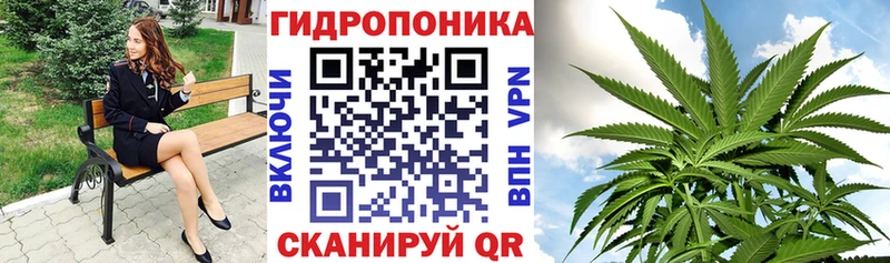 МАРИХУАНА планчик  цена   Бузулук 